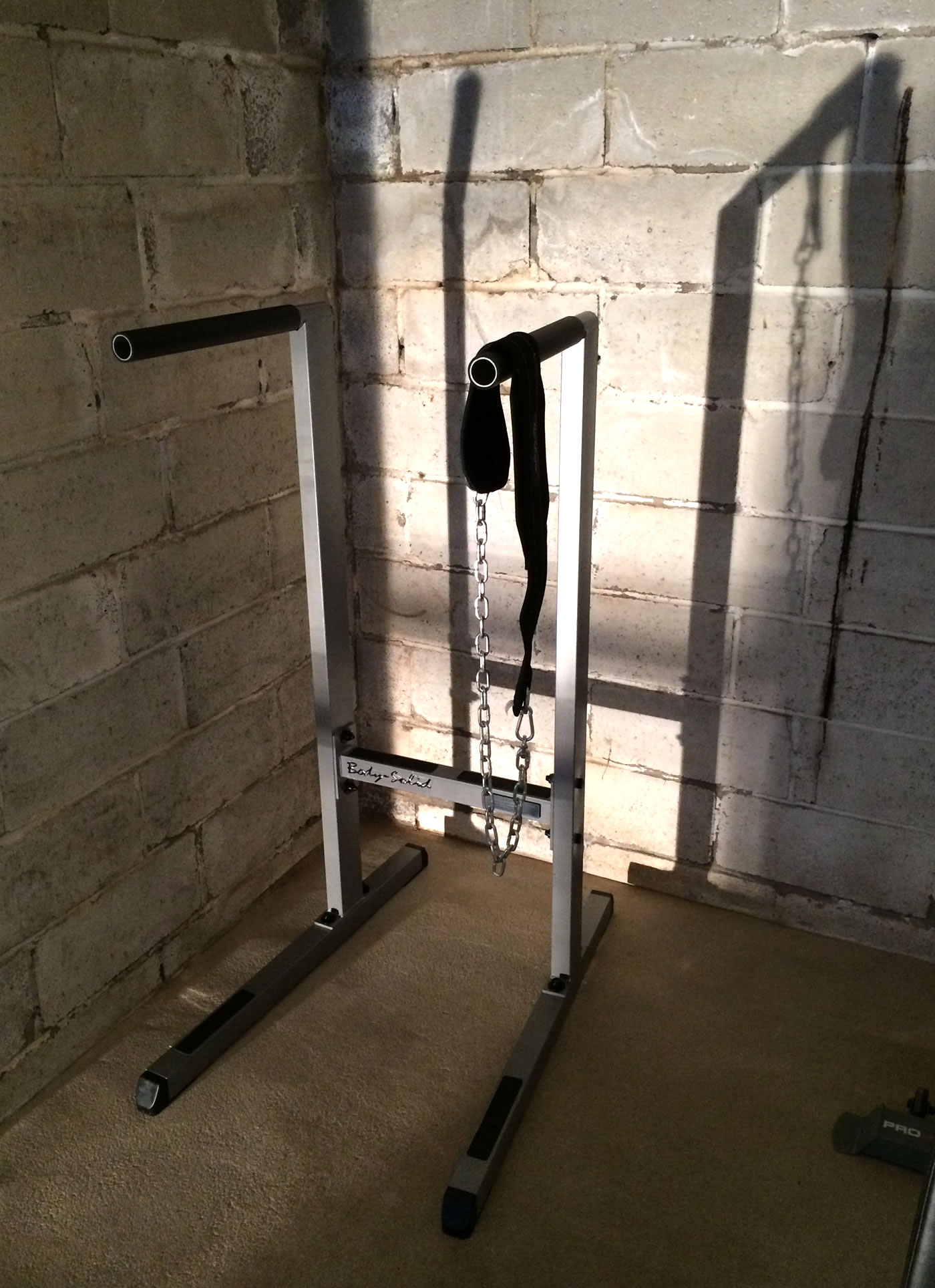 Project HUGE Building A Home Gym Dips